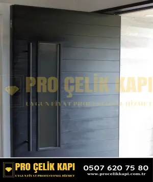 Başakşehir Pivot Kapı - Model 38