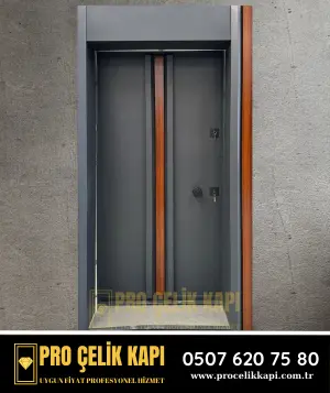 Başakşehir Çelik Kapı - Pro 1