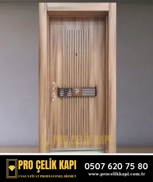 Başakşehir Çelik Kapı Modelleri - Ultra 6
